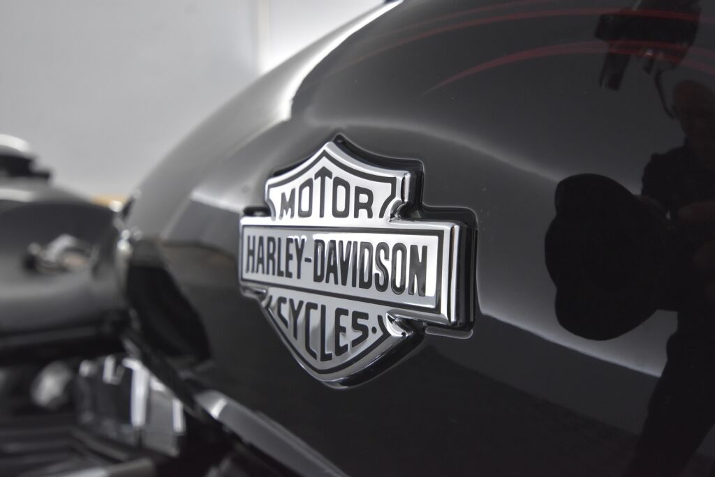 Harley-Davidson SOFTAIL 2009 Tyylikäs ja vähän ajettu FXCWC Rocker C / 1600cc moottori / Laukut / Lisäkromit /